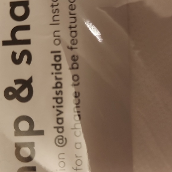 David's Bridal wedding gown garnet bag - Picture 2 of 4